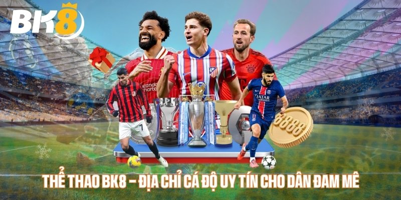 Giới thiệu đôi nét sảnh thể thao BK8